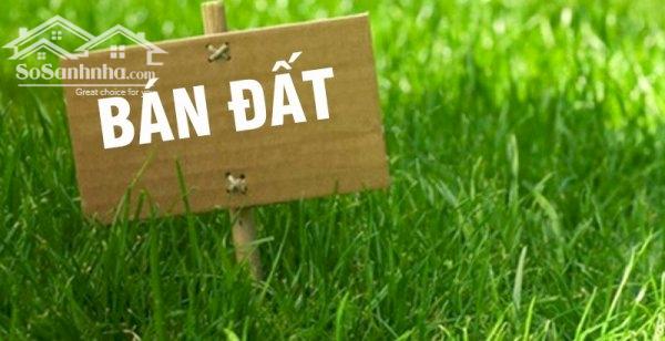 Bán 215m2 đất tại Tân Dân, Sóc Sơn, Hà Nội - cổng trường Cao đẳng điện lực miền Bắc