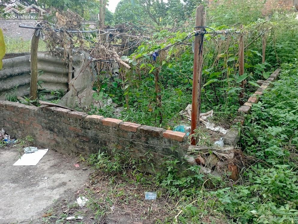 Bán Đất 40m2 Cổ Loa, Đông Anh, Oto Đỗ Cửa. 100m Ra Đường Quốc Lộ.