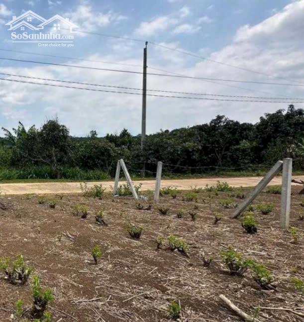 Bán lô đất 226m2 sẵn 101m2 ngay mặt tiền thổ cư xã Lộc An, Bảo Lâm, Lâm Đồng