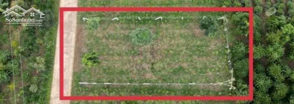 Bán lô đất 226m2 sẵn 101m2 ngay mặt tiền thổ cư xã Lộc An, Bảo Lâm, Lâm Đồng