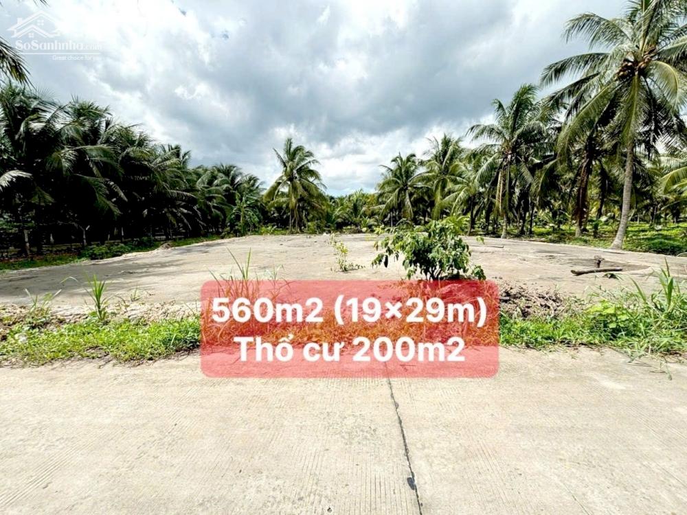 560M2 ĐẤT CÓ THỔ CƯ MẶT TIỀN ĐƯỜNG  XE 16 CHỖ SƠN ĐÔNG TP BẾN TRE