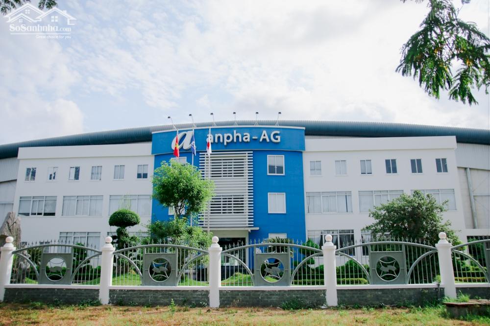 Cho thuê Kho lạnh, kho mát ở KCN Long Hậu, Long An