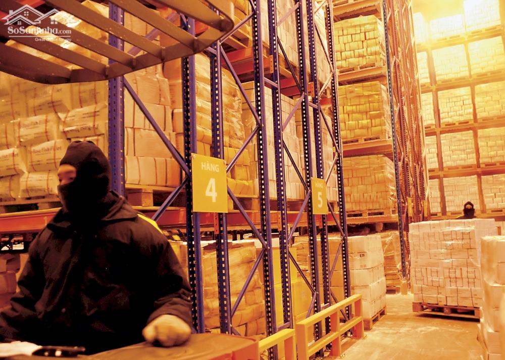 Cho thuê Kho lạnh, kho mát ở KCN Long Hậu, Long An