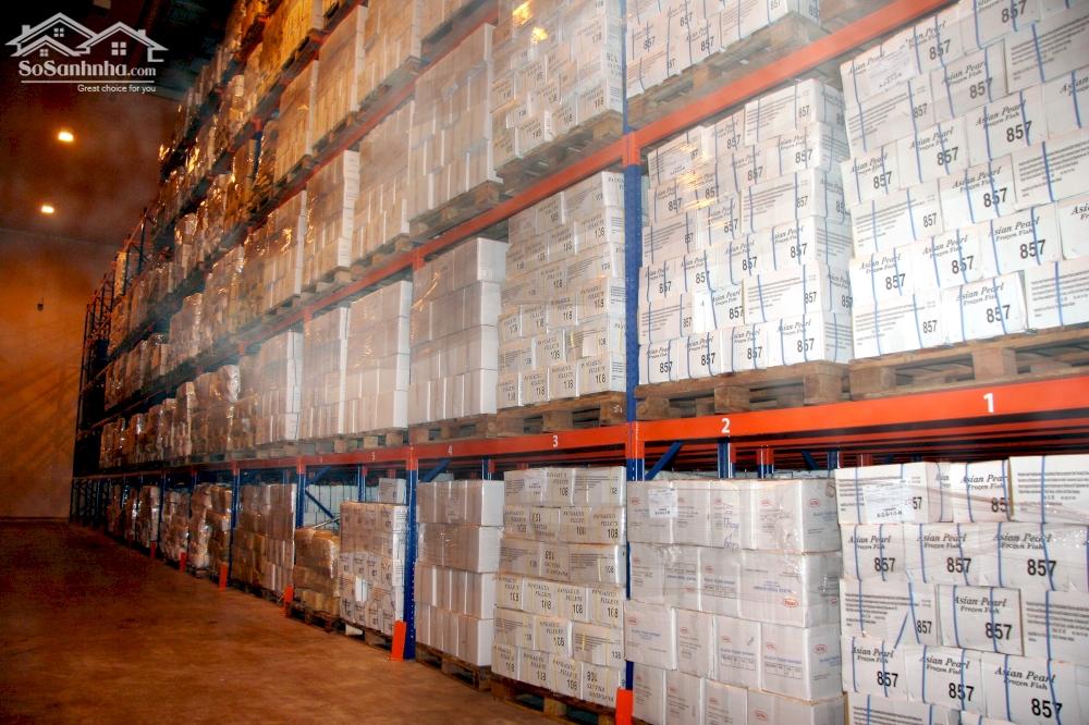 Cho thuê Kho lạnh, kho mát ở KCN Long Hậu, Long An