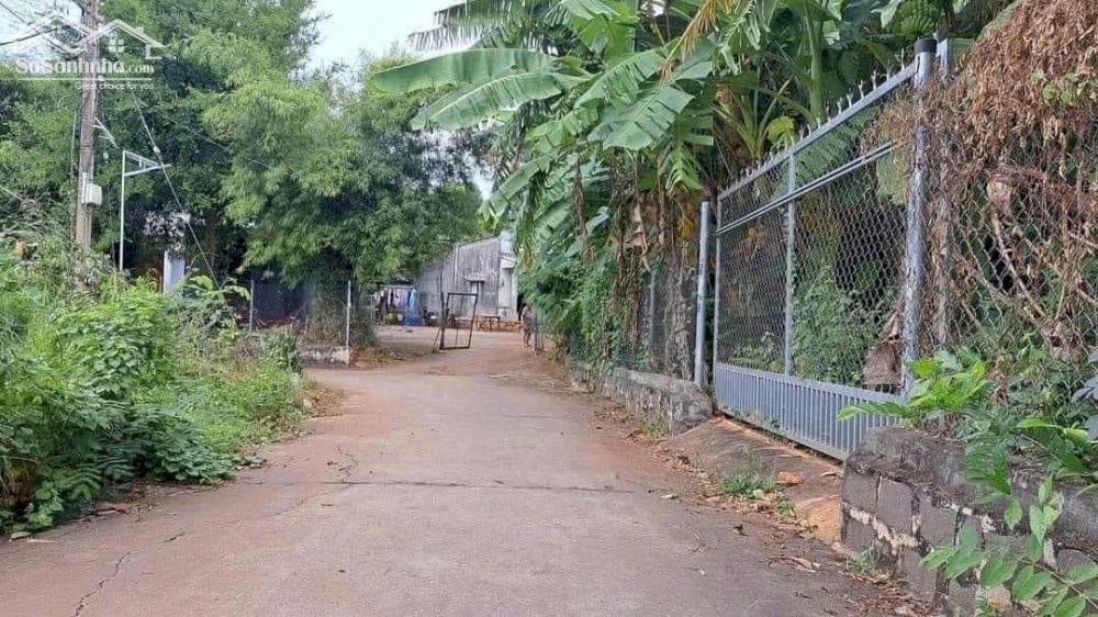 Đất đẹp thị trấn Đất đỏ - BRVT đường bê tông xe hơi