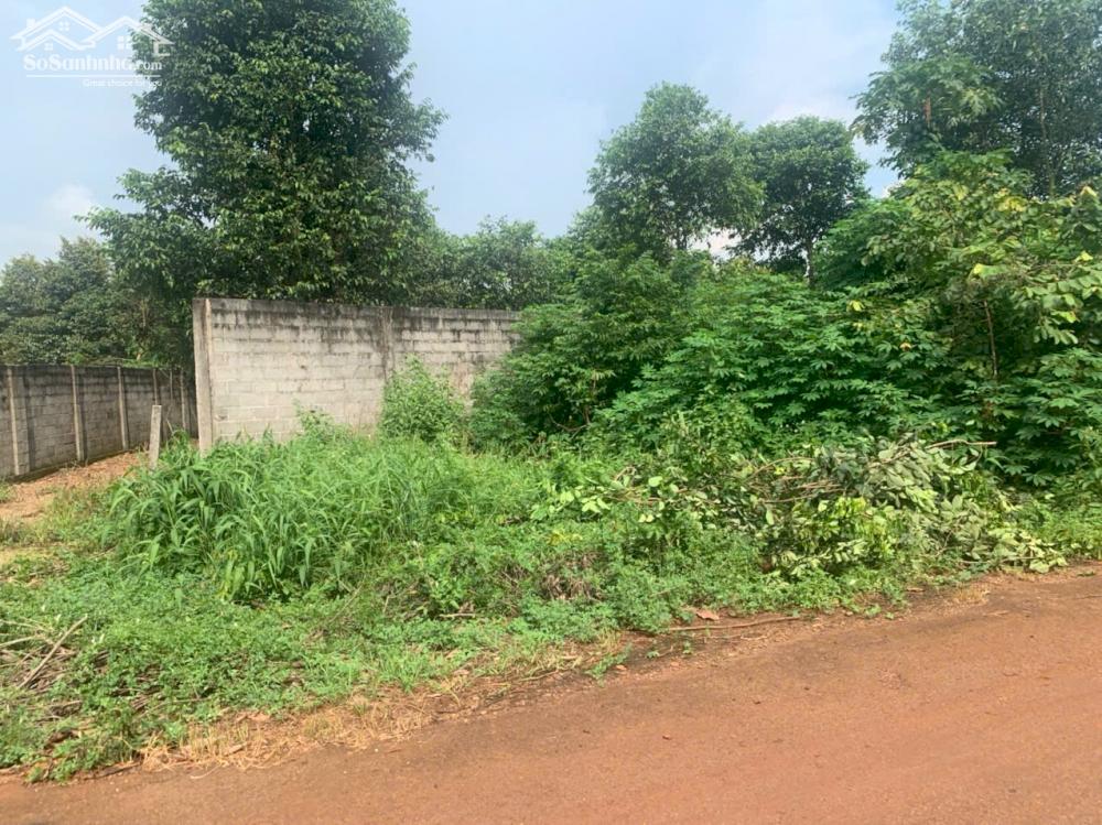 Bán lô đất siêu rẻ Sông Xoài 2,8Ha-300Tc giá 28 tỷ . lh Tài 0707 004 268