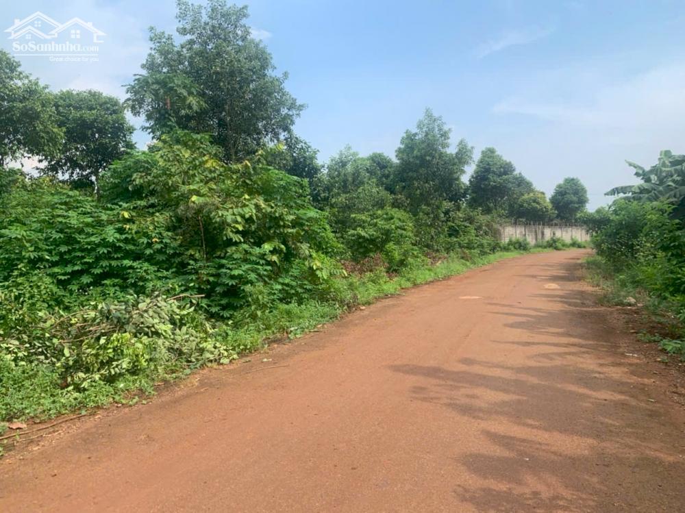 Bán lô đất siêu rẻ Sông Xoài 2,8Ha-300Tc giá 28 tỷ . lh Tài 0707 004 268