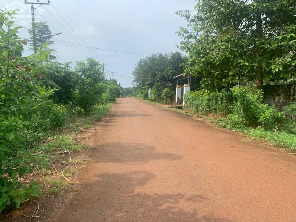 Bán lô đất siêu rẻ Sông Xoài 2,8Ha-300Tc giá 28 tỷ . lh Tài 0707 004 268