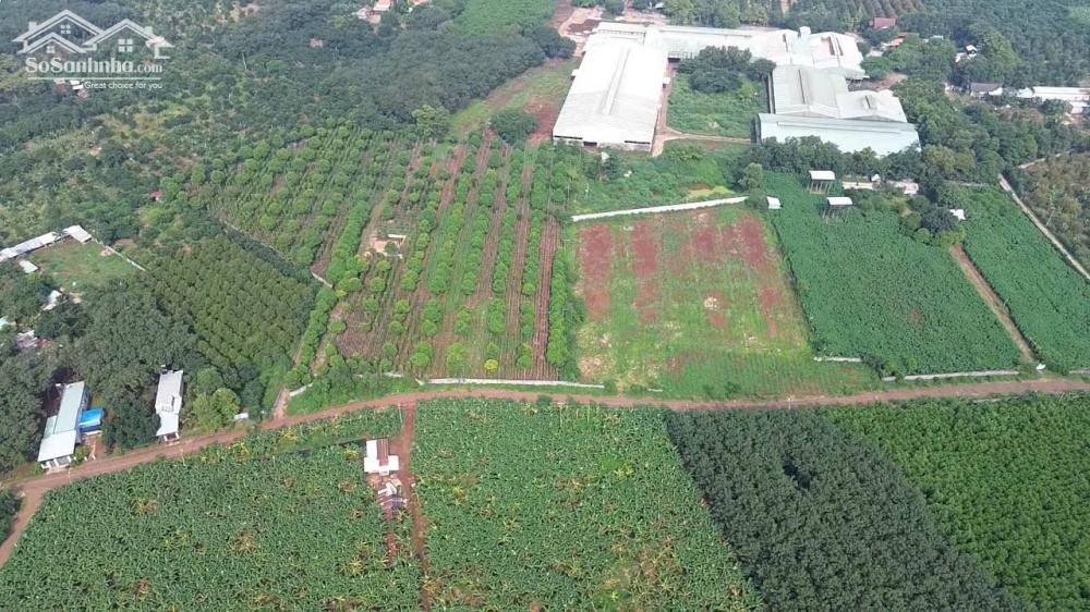 Bán lô đất siêu rẻ Sông Xoài 2,8Ha-300Tc giá 28 tỷ . lh Tài 0707 004 268