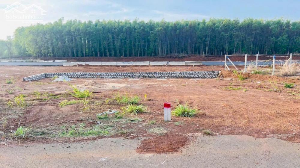 Bán gấp lô đất thị trấn Đất Đỏ huyện Đất Đỏ tỉnh BRVT diện tích 232m2