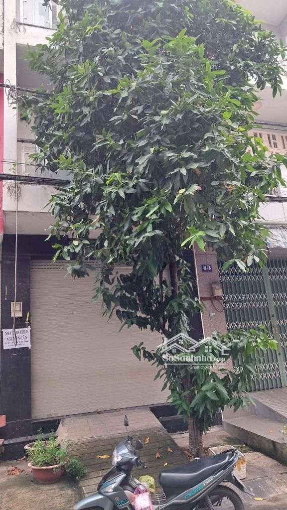 Nhà Cho Thuê Nguyên Căn