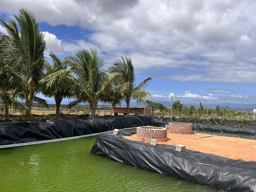 Bán Lô Đất 10.000/M2 Trong Khu Farm Hòa Thắng - Nơi Được Đánh Giá Quy Hoạch Chỉnh Chu Nhất Tại Bt