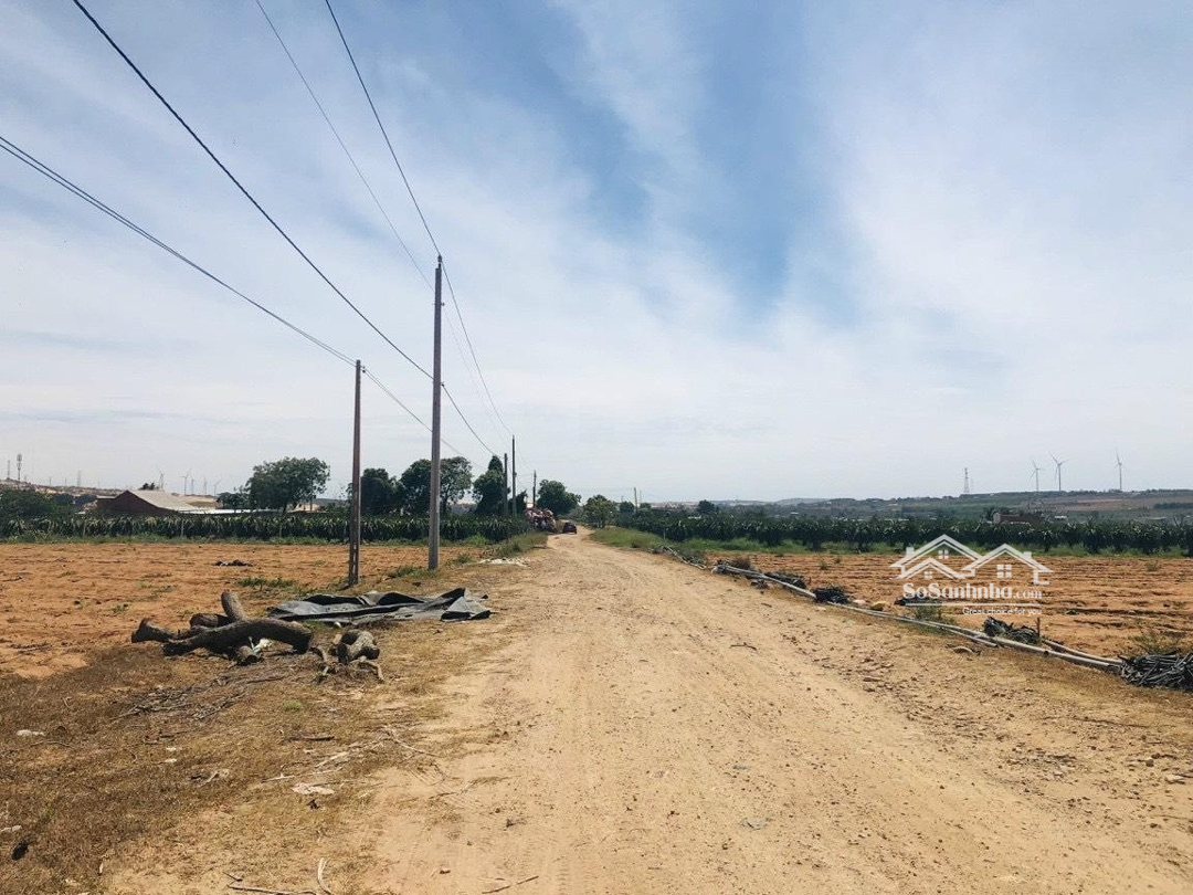 Bán Lô Đất 10.000/M2 Trong Khu Farm Hòa Thắng - Nơi Được Đánh Giá Quy Hoạch Chỉnh Chu Nhất Tại Bt