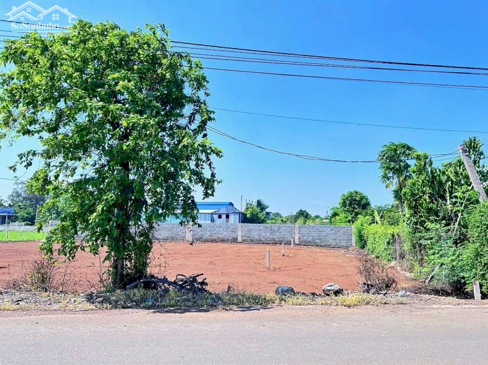 Chính chủ bán đất giá 3,75 tỷ VND tại thị trấn Đất Đỏ, Bà Rịa Vũng Tàu