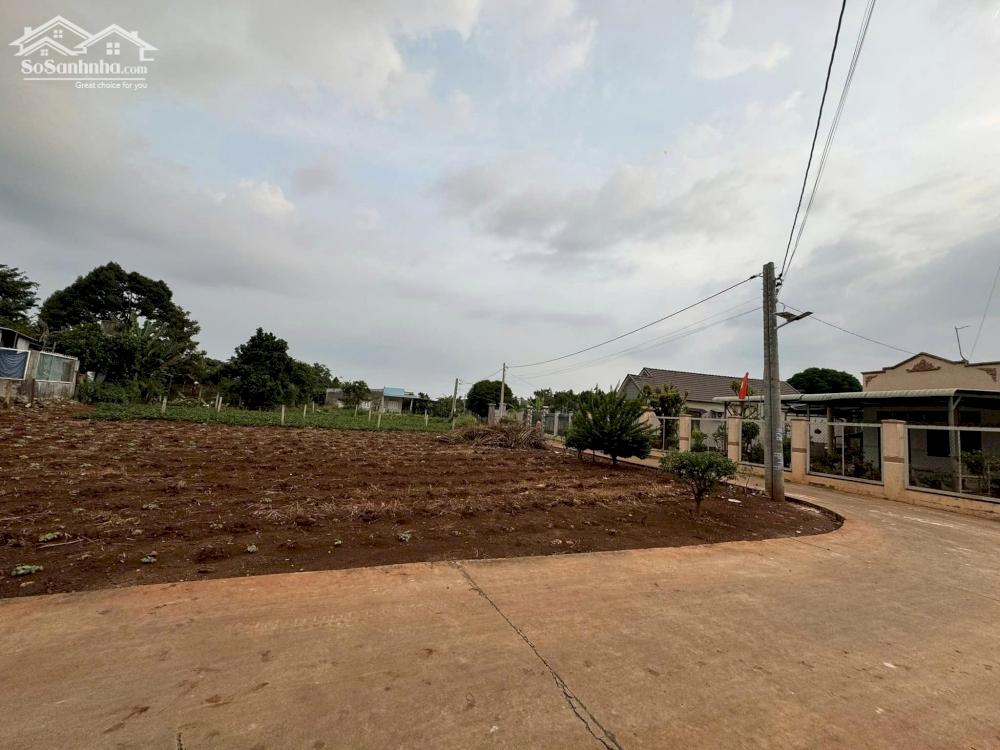 Cơ hội sở hữu đất giá tốt tại thị trấn Đất Đỏ, Bà Rịa Vũng Tàu