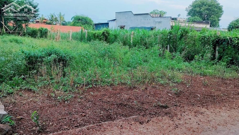 500m2 ĐẤT THỔ CƯ, SỔ HỒNG RIÊNG NGAY TT ĐẤT ĐỎ