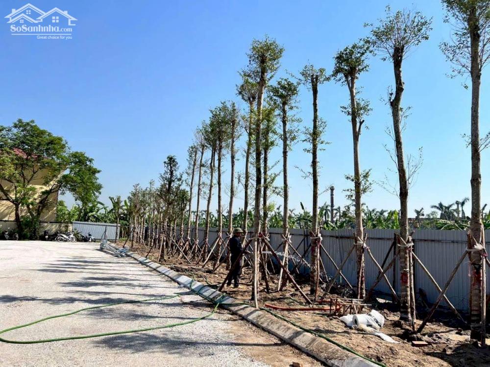  Hồng Bàng Midtown – Tâm điểm đầu tư & kinh doanh sầm uất tại Hải Phòng ️