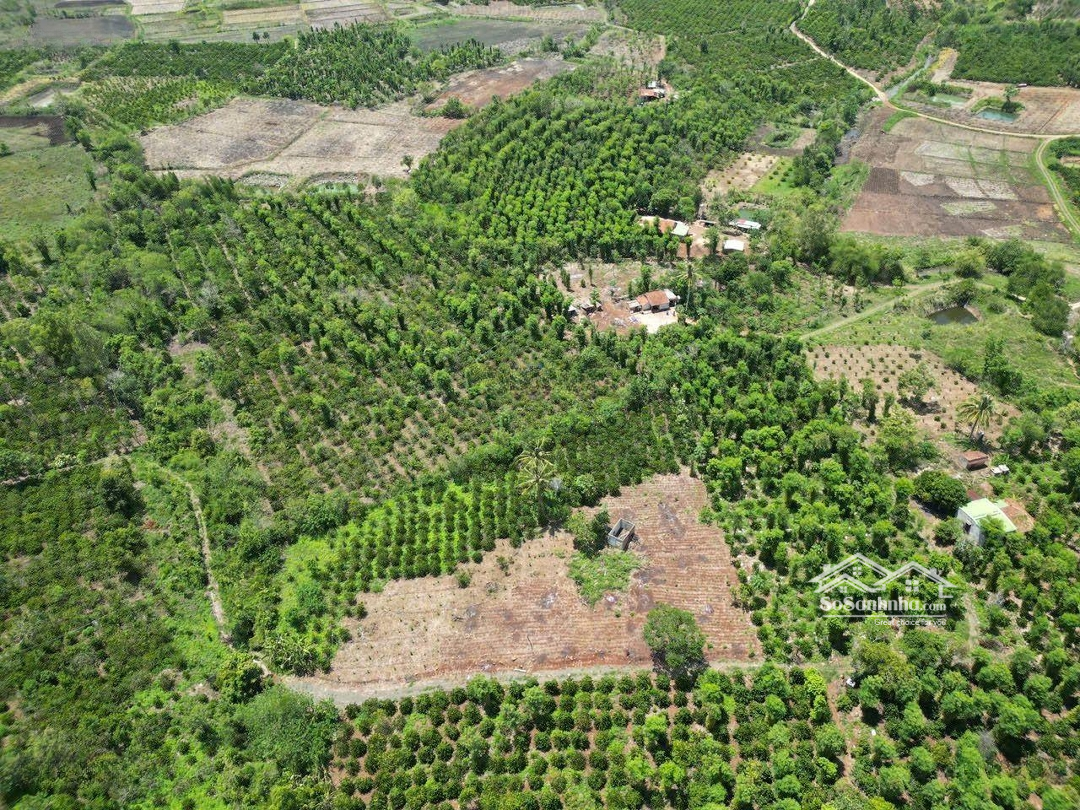 Bán 4500M2 Đất Sẵn 400M2 Thổ Cư Có 75M Giáp Đường Và 35M Giáp Suối Đất Đỏ Bazan Giá Chỉ 5Xxtr