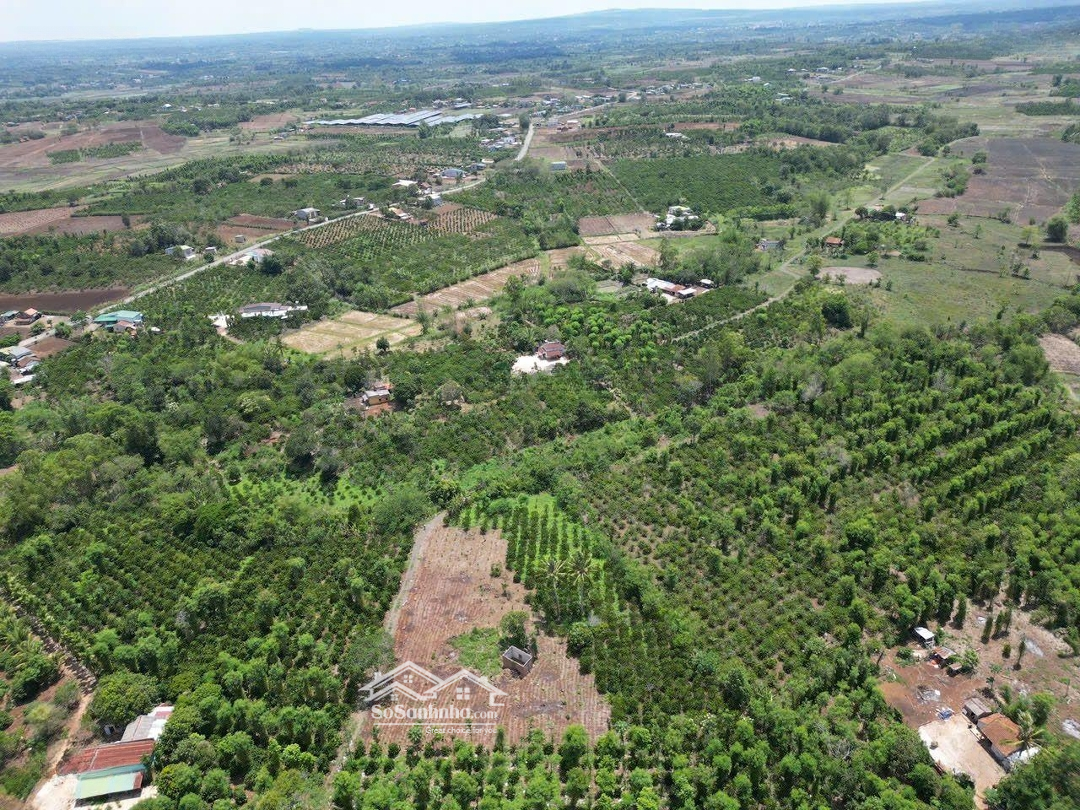Bán 4500M2 Đất Sẵn 400M2 Thổ Cư Có 75M Giáp Đường Và 35M Giáp Suối Đất Đỏ Bazan Giá Chỉ 5Xxtr