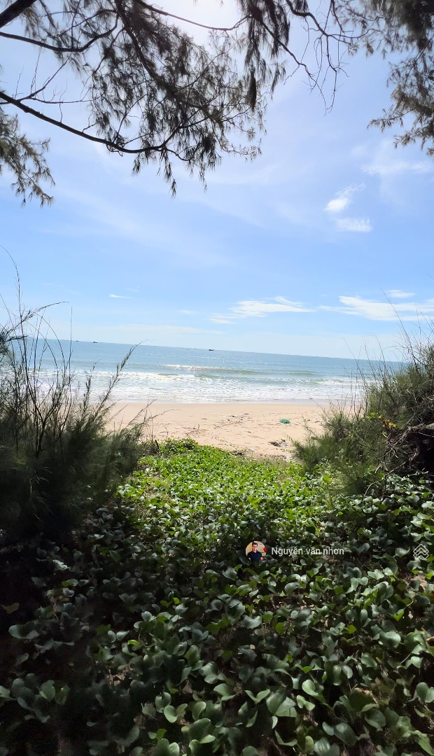 Bán Đất Mặt Biển Mũi Né, Giá Bán 15 Triệu/M2, Diện Tích 1.384M2, Phan Thiết
