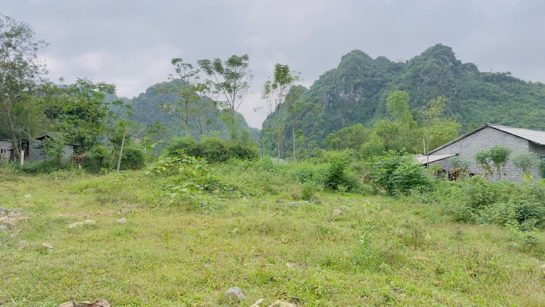 Bán Đất Cao Dương, Lương Sơn, Hòa Bình 1168M2 Vuông Đẹp Giá Bán 1,65 Tỷ