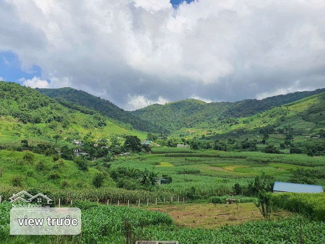 Chính Chủ Bán Mảnh Đất 9300M2 Tại Cao Phong, Hòa Bình, Liên Hệ: 0356.635.386