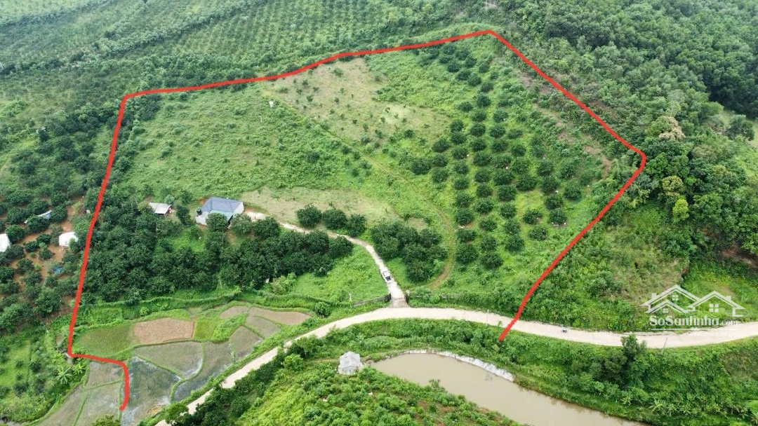 Chuyển Nhượng 2,2Ha Đất Thổ Cư Và Cây Lâu Năm Tại Hoà Bình