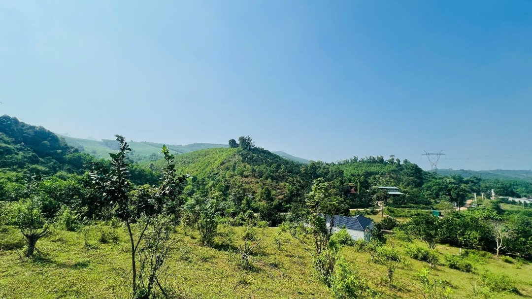 Chuyển Nhượng 2,2Ha Đất Thổ Cư Và Cây Lâu Năm Tại Hoà Bình