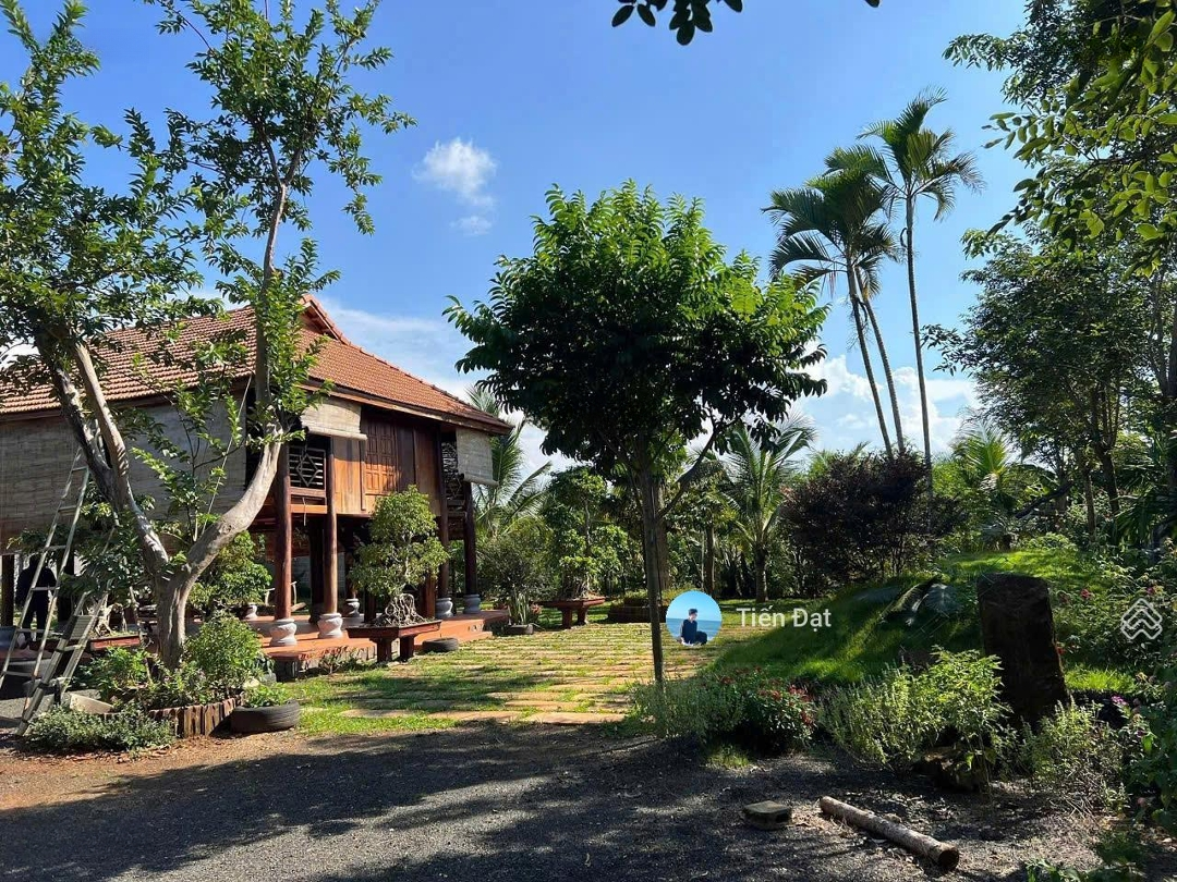 Bán Đất Vườn 1000M2 Shr Giá Bán 960 Triệu Nghĩ Dưỡng Cuối Tuần Về Đây Xả Stress View Gần Sông Đường Oto