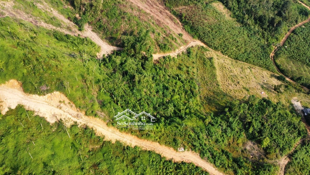 Hàng Hiếm Anh Chị Mua Lô Này Dựng Nhà, Làm Trang Trại Thì Hết Ý, Em Bán 10 Ha Đất Rừng Sản Xuất