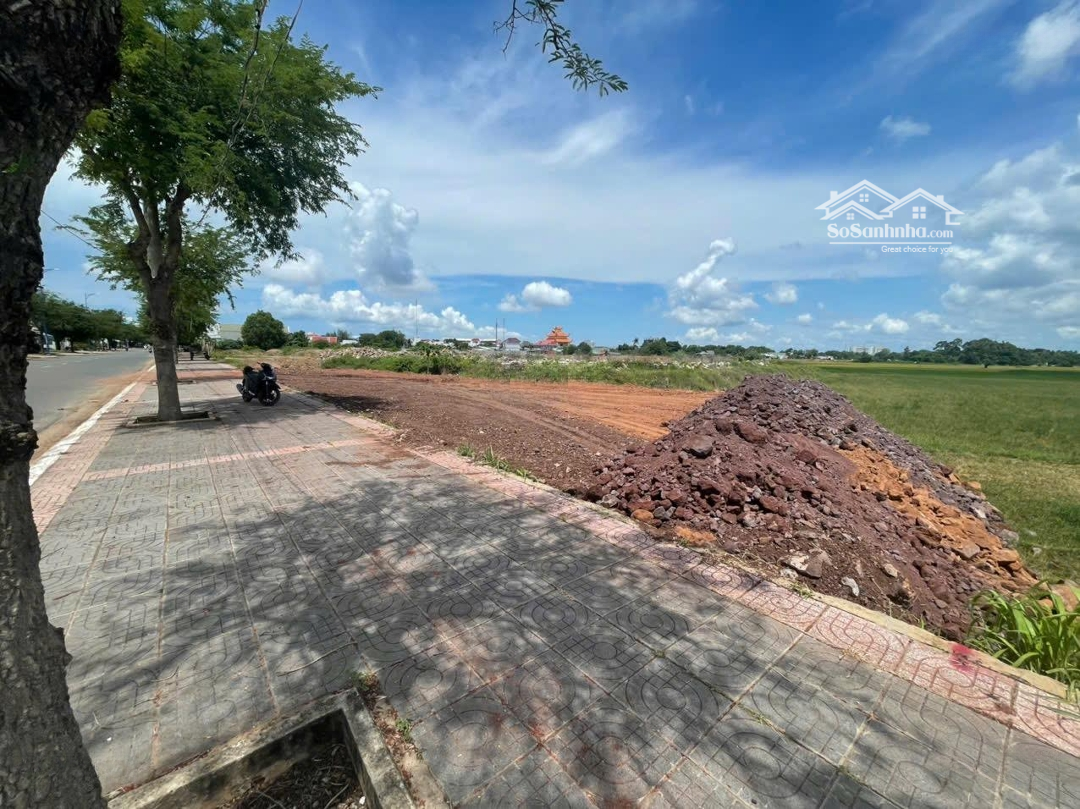 Bán Đất Tại Đường 14, Thị Trấn Long Điền, Giá Sốc Chỉ 5,5 Tỷ Vnd, Diện Tích 691M2