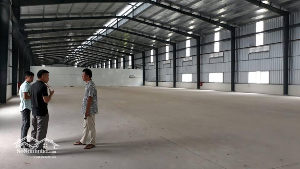 Cho Thuê Kho Xưởng 5.800M2 Giá Rẻ Mặt Tiền Đường Tân Thới Nhất 8, P. Tân Thới Nhất, Quận 12