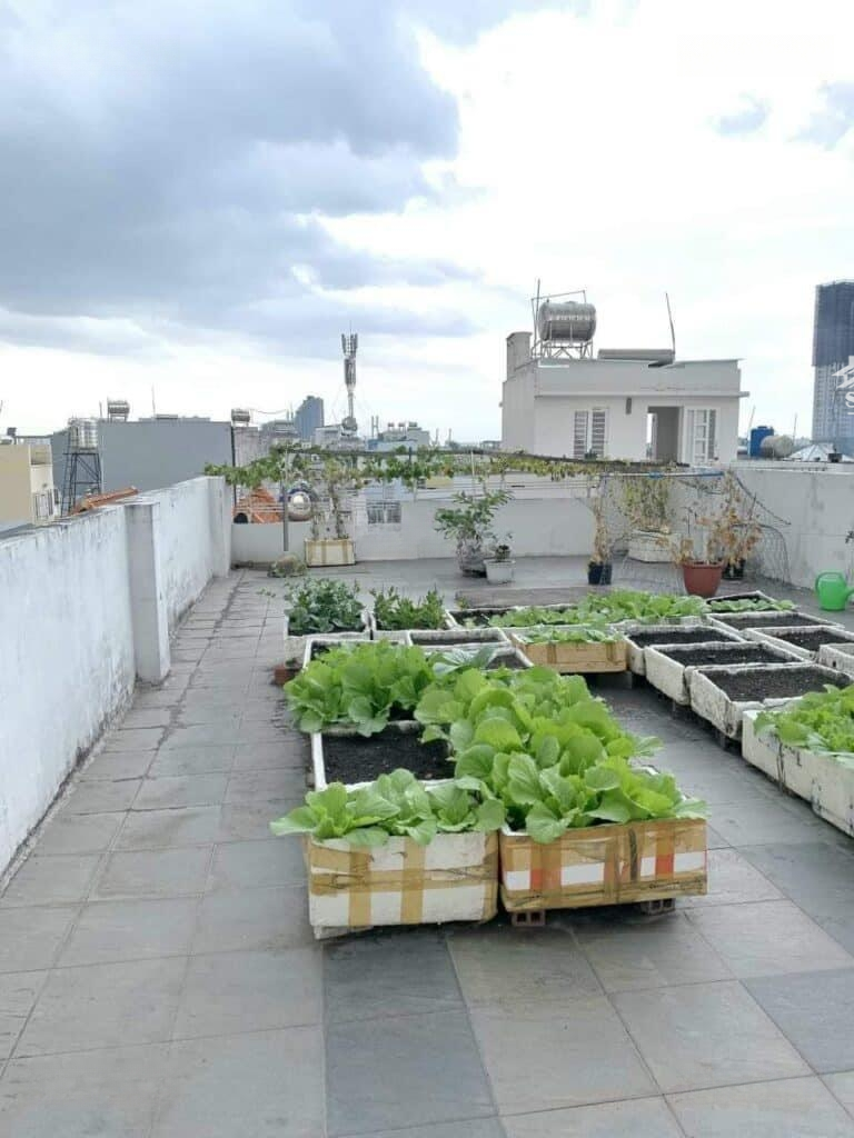 Cần Bán Gấp Nhà Hẻm Cao Thắng, Quận 10, 50M2 Giá Bán 2 Tỷ 630 Liên Hệ Minh Thịnh Trực Tiếp