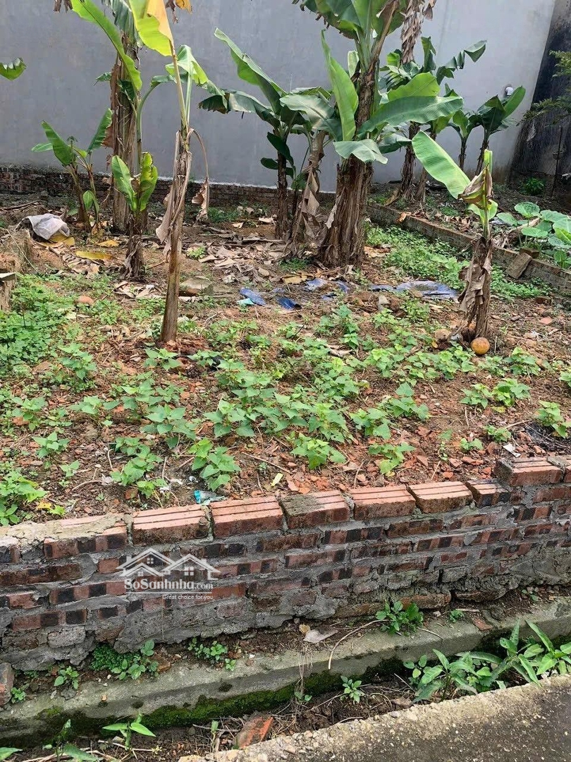 42.5M2 Đất - Nghĩa Lại - Uy Nỗ - Đông Anh - 3.X Tỷ