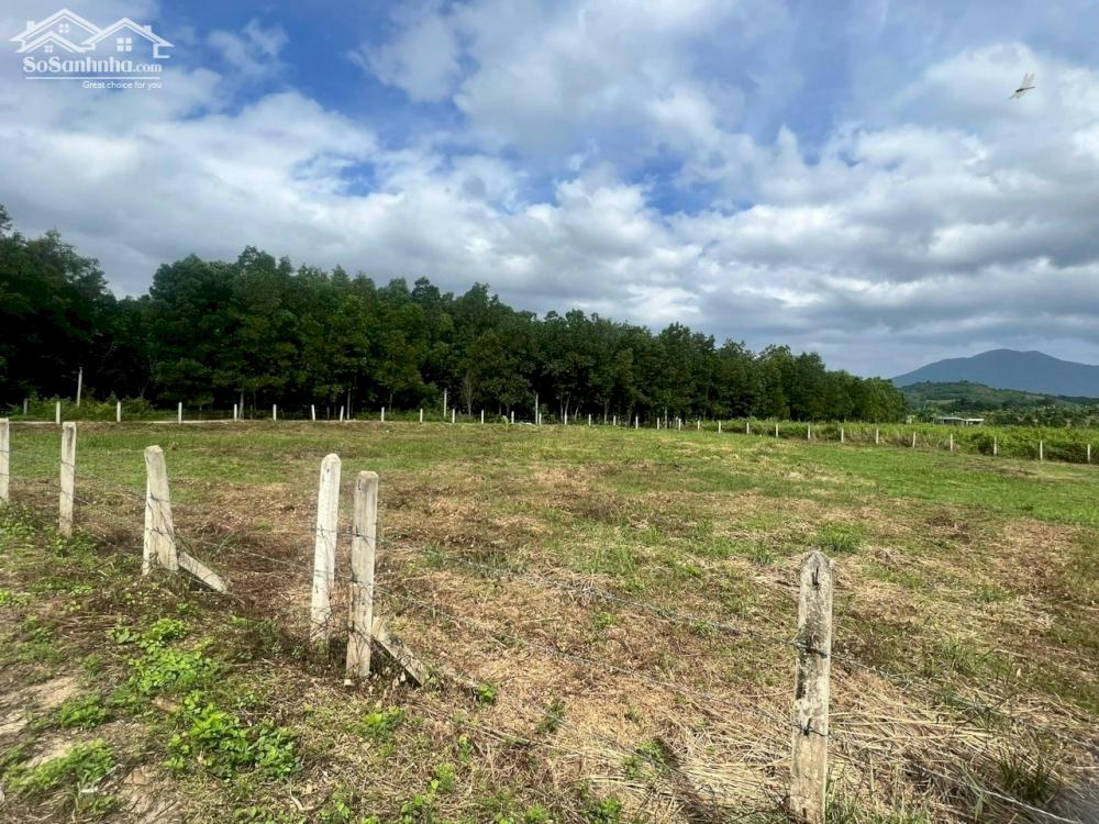 Cần bán lỗ lô góc Diên Thọ Diên Khánh 2000m2, ngang 36m, giá 2ty8 thương lượng.