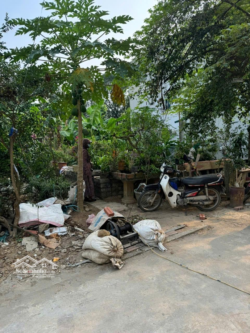 Cần Bán Đất Trung Sơn Trầm, Sơn Tây, Hà Nội