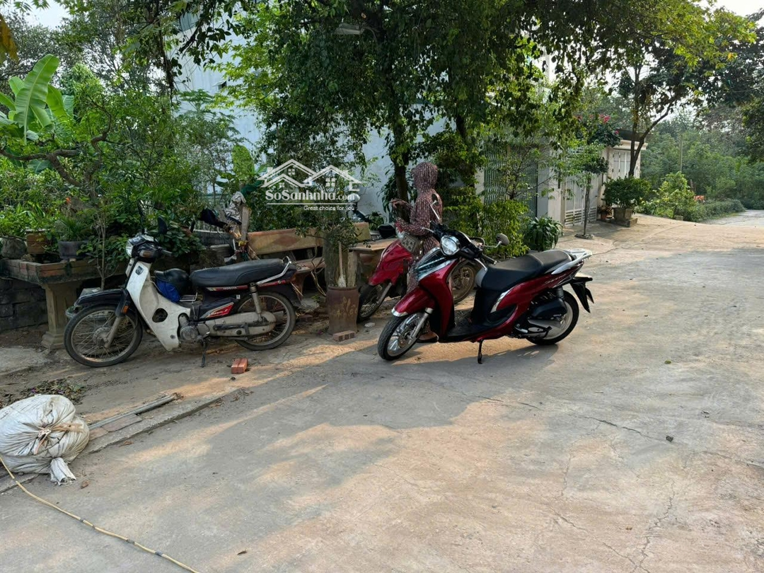 Cần Bán Đất Trung Sơn Trầm, Sơn Tây, Hà Nội