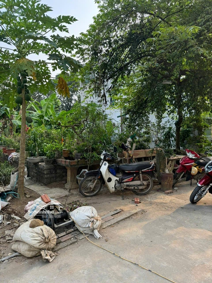 Cần Bán Đất Trung Sơn Trầm, Sơn Tây, Hà Nội