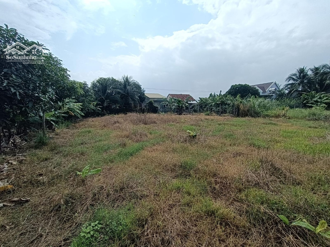 Đất Vườn Quy Hoạch Thổ Cư,Ngay Khu Dân Cư Đông Đúc,Đường Ôtô Tận Nơi.