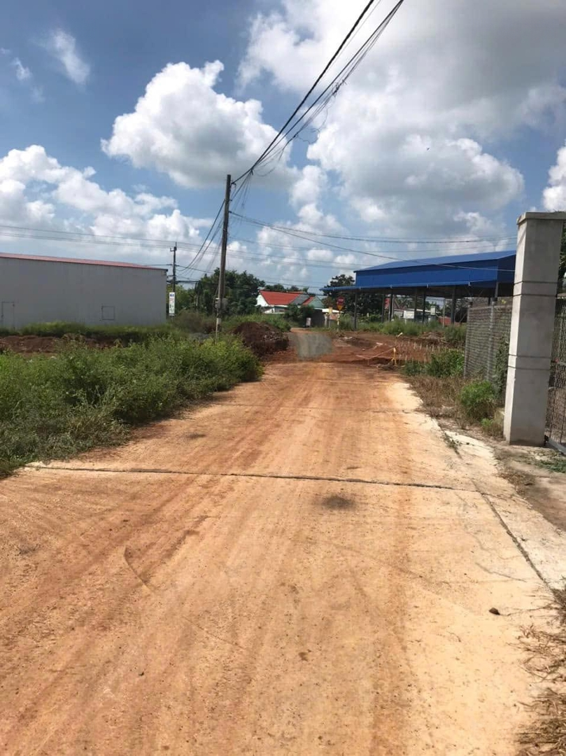 Bán Đất Tại Phước Long Thọ Mặt Tiền Đường Đất Cách Đường Bê Tông Vài Bước Chân