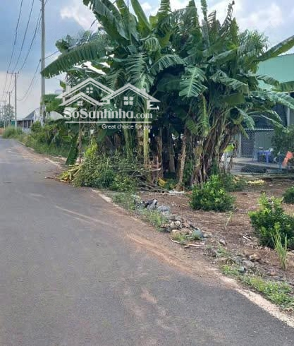 Bán 389,4M2Mặt Tiềnnhựa Phạm Hùng Nối Dài Phước Long Thọ, Đất Đỏ Thích Hợp Đầu Tư Hay Làm Vườn