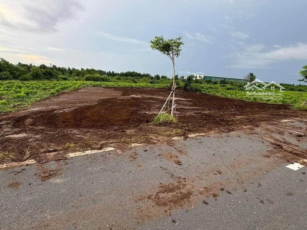 Chủ Cần Bán Tỉnh Lộ 997 Phước Long Thọ Đất Đỏ. Nằm Cạnh Khu Công Nghiệp, Cách Ql55 Chỉ 2Km