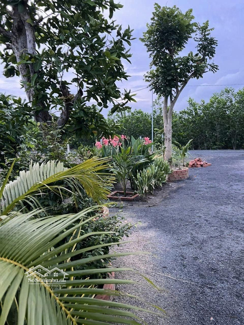 Chủ Cần Bán Lô Đất Nhà Vườn Phước Long Thọ Đất Đỏ