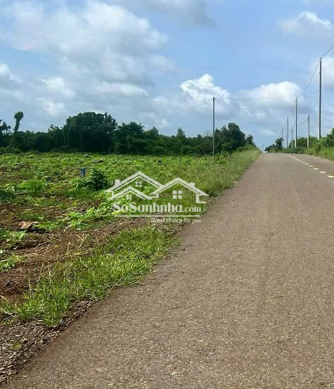 Chính Chủ Cần Đẩy Nhanh Đất Nền Ngay Kcn Đất Đỏ, Tuyến Đường Thuận Lợi