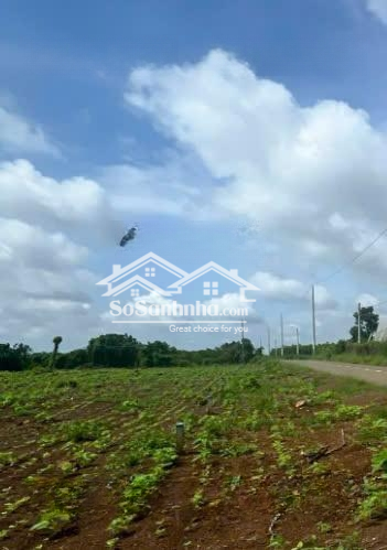Chính Chủ Cần Đẩy Nhanh Đất Nền Ngay Kcn Đất Đỏ, Tuyến Đường Thuận Lợi
