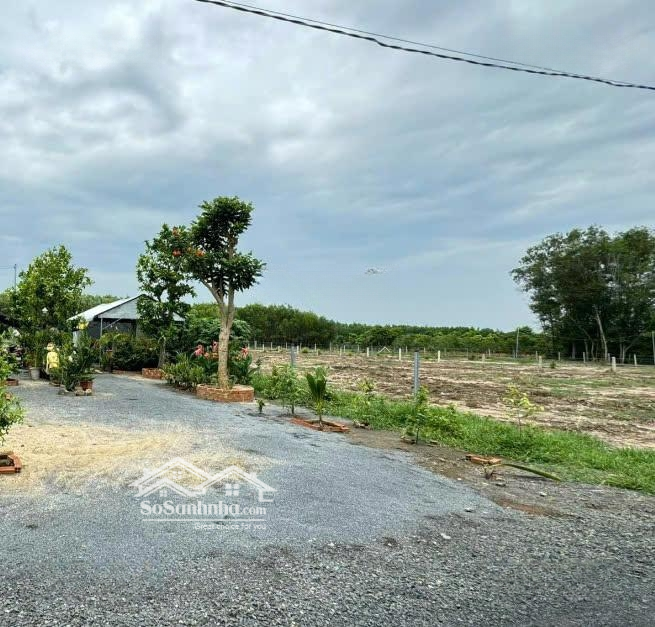 Bán Nhanh Đất Brvt - Phước Long Thọ - Đất Đỏ Cách Biển Phước Hải 8Km
