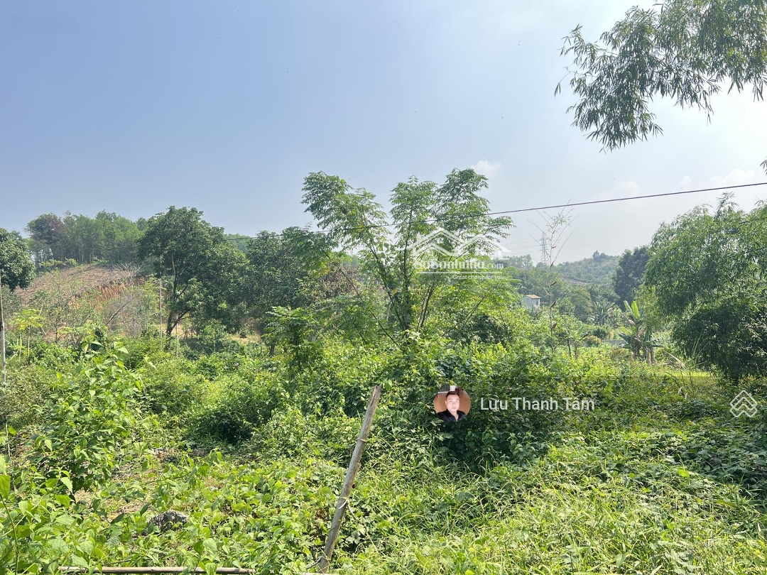 Cần Bán Lô Đất 2360M2 Có 1300M3 Thổ Cư Tại Hợp Thanh Lương Sơn Hòa Bình