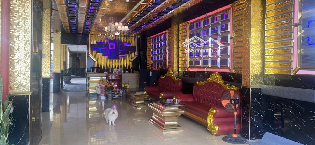 Bánmặt Tiềnkd Đường Trần Quang Diệu, Tp Quảng Ngãi.diện Tích1000M2,Mặt Tiền11.5M, Đường 10M, Đang Kinh Doanh