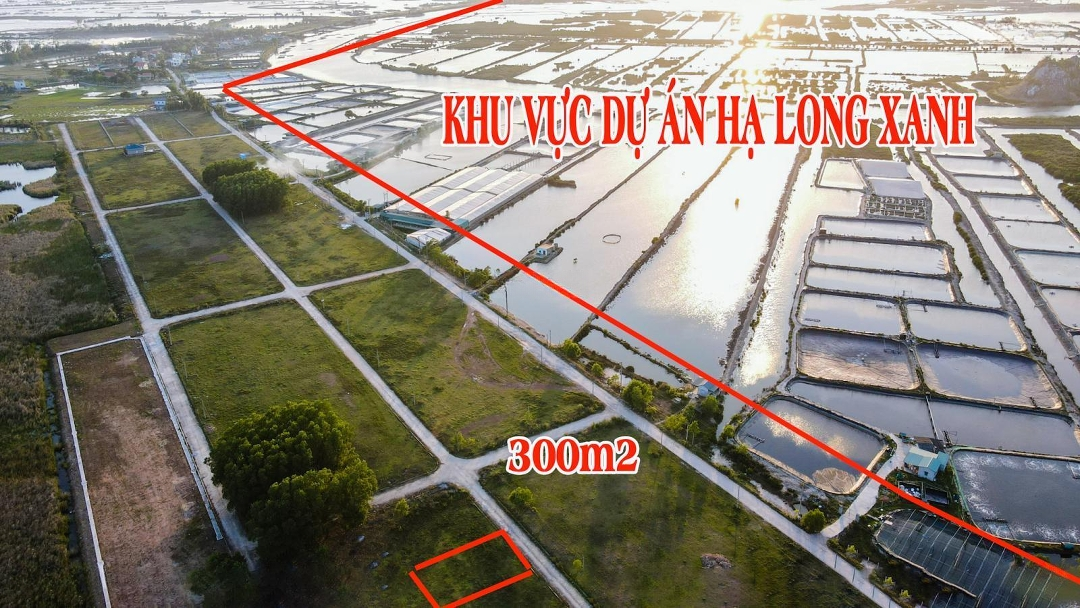 Bán Đất Ven Dự Án Vin Hạ Long Xanh, Hoàng Tân, Quảng Yên Diện Tích 300M2 Sổ Hồng Đất Ở Lâu Dài