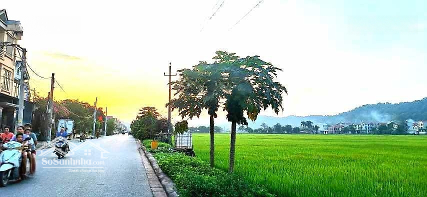 Thổ Cư 113M Rộng 7M, Đường 15M, Trục Chính, Trung Tâm Tiện Ích, Phật Tích, Tiên Du. Chỉ 28,5 Tr/M2.